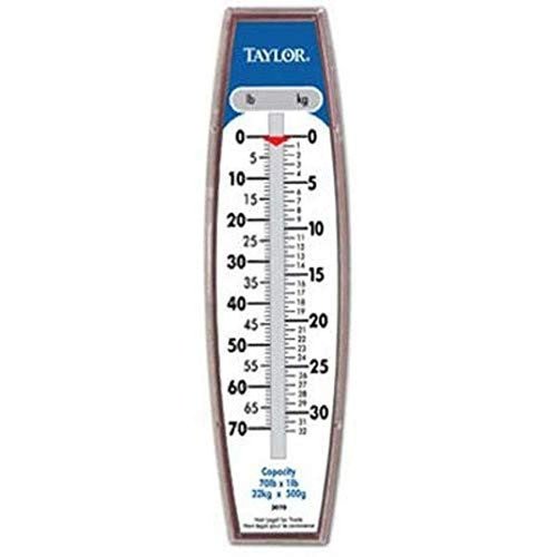 Taylor Hanging Scale (70-Pound/32-Kilogram)