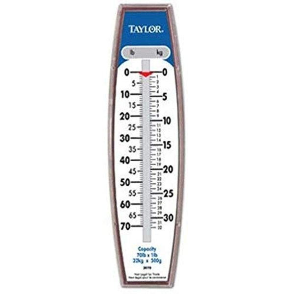 Taylor Hanging Scale (70-Pound/32-Kilogram)