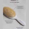 LUXURY HAIR BRUSH- Dry Hair Brush Boar Bristle and Soft Ballpoint Tip, Hairbrush for Restore Shine And Texture By ADDENDUM HAIR