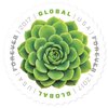 Green Succulent Sheet of 10 Global USPS First Class International Forever Postage Stamps (2)
