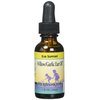Herbs for Kids Willow/Garlic Ear Oil, Unscented (Btl-Glass) | 1oz