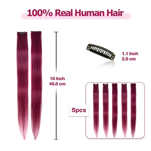 Winsky Burgundy Clip in Colored Hair Extensions 100% Real Human Hair - Straight Highlights Colored Clip on Christmas Hairpieces 5 Pieces/Set (18inch, Burgundy)