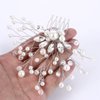 BriLove Wedding Bridal Hair Comb Hair Accessories with Crystal Bead Simulated Pearl Handmade Filigree for Women Clear Silver-Tone