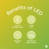 GE LED+ Backup Battery LED Light Bulbs, 8W, Rechargeable Emergency Light for Power Outages + Flashlight, Soft White, A21 (2 Pack)