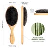 EAGLE FORTRESS Glidease Wood Boar Bristle Hair Brush with Nylon Refined Smooth Bristle for Women, Men, and Kids - Effortless Detangler Hair Brush Ideal for Thick, Thin, Fine All Hair (Bamboo)