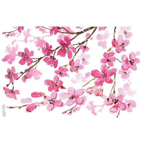 Tervis Sakura Japanese Cherry Blossom Made in USA Double Walled Insulated Tumbler Travel Cup Keeps Drinks Cold & Hot, 16oz, Classic