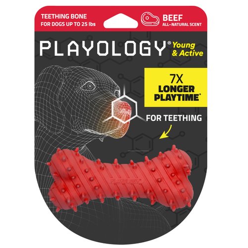 Playology Puppy Teething Bone Dog Toy for Young & Active Dogs | Small Sized Chew Toy with Squeaker for Puppies up to 25lbs | Engaging All-Natural Beef Scented Toy