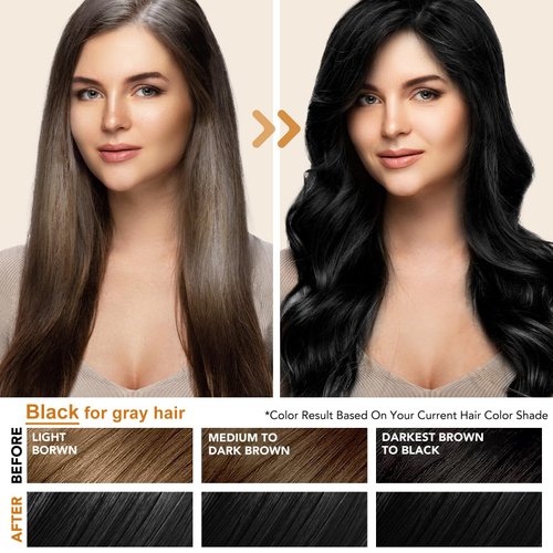 Black Hair Dye Shampoo for Gray Hair Coverage, Natural & Long-lasting Hair Color Shampoo Para Canas Mujer, 3 in 1 Herbal Shampoo Hair Dye Christmas Gifts for Men Women 500ml