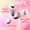Cluster Lashes D Curl Lash Clusters 280 Pcs Lash Extension Clusters Individual Lashes Soft DIY Eyelash Extensions Mixed Tray Eyelash Clusters Natural Look (40D+60D-0.07D, 8-20mm)