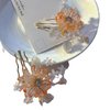 Rabithenn Orange Equinox Flower Hair Clip for Women - Chinese Hanfu Acrylic Resin Pearl Hairpin with Metal Accessories for Long Hair - 1 Count, 8.5x8.5cm (3.35x3.35inch)