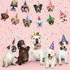 Hooqict Dog Birthday Banner Dog Birthday Party Decorations for Backdrop Dog Themed Party Banner Dog Face Happy Birthday Sign for Girls Pet Puppy Theme Birthday Party Supplies