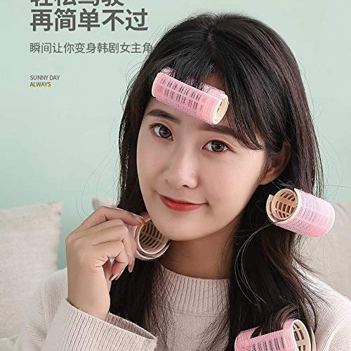 Aeyistry 2 Pcs Bangs Hair Curlers Roller Hair Styling Tools DIY Curly Hairstyle(Pink)