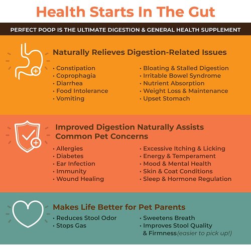 Perfect Poop Digestion & General Health Supplement for Dogs: Fiber, Prebiotics, Probiotics & Enzymes Relieve Digestive Conditions, Optimize Stool, and Improve Health (Cheddar Cheese, 4.2 oz)