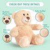 BenBen Teddy Bear Stuffed Animals, 8 inch Teddy Bear Bulk, 2 Pack Baby Bear Plush Toy for Baby Shower Decoration, Gift for Boys Girls, Girlfriend, Birthday