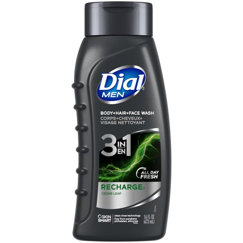 Dial Men 3in1 Body, Hair and Face Wash, Recharge, 16 fl oz (Pack of 1)
