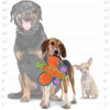 DURA FORCE Durable Woven Fiber - Butterfly - Squeakers - Multiple Layers. Made Durable, Strong & Tough. Interactive Play Dog Toy (Tug, Toss & Fetch). Machine Washable & Floats (Orange Butterfly)