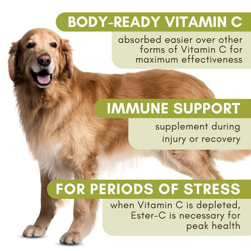 Wholistic Pet Organics Allergy Immune Boost: Vitamin C for Dogs - 2 Oz - Dog Itch Relief - Immune Support Supplement for Dog Allergy Relief Medication - Ester C Supplement for Dogs Skin and Coat