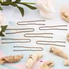 AIEX 200 Pieces U-Shaped Hairpins Kit Hair Clips Hairpins Hair Clips for Women Girls and Hair Salon (Bronze)