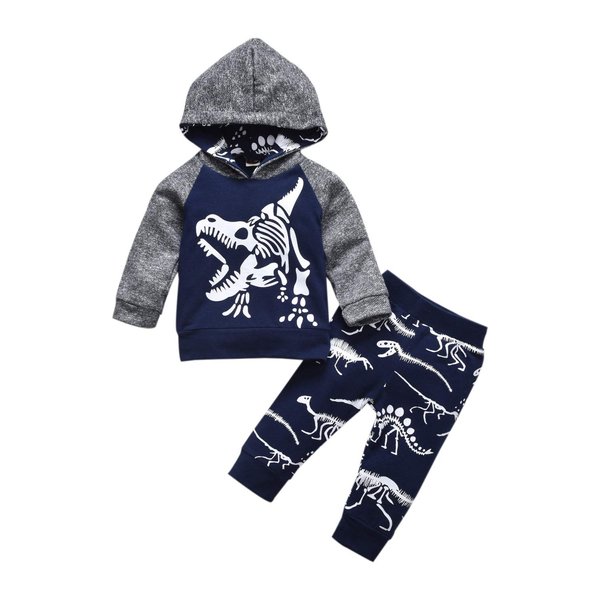 Baby Boys Dinosaur Long Sleeve Hoodie Tops Sweatsuit Pants Winter Outfit Set Gray