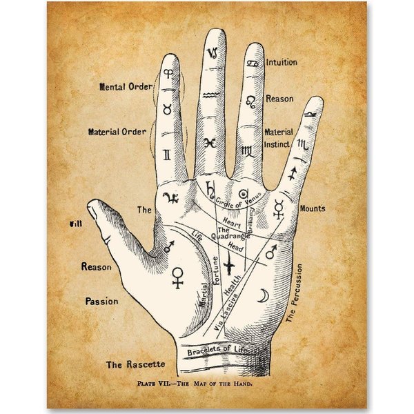 Palm Reading Divination Chart - Classic Fortune Teller Decor, Chiromancy Wall Art, Gift for Oddity Palm Readers, Palmistry and Astrology Fans, 11x14 Unframed Art Print Poster