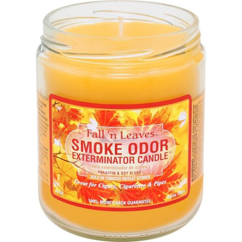 Smoke Odor Exterminator 13oz (Fall N Leaves, 1) Jar Candles, 1, 13 Ounce