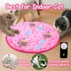 Mity Rain Cat Interactive Toys for Indoor Cats, Self Rolling Ball Cat Ball Toy in Play Mat Pouch, Remote Control Smart Automatic Cat Ball with Music Kitten Adult Cat Hide and Seek Hunting Boredom Toys