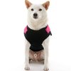 Gooby Fashion Vest Dog Jacket - Pink, X-Small - Warm Zip Up Dog Bomber Vest with Dual D Ring Leash - Winter Water Resistant Small Dog Sweater - Dog Clothes for Small Dogs Boy or Medium Dogs