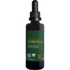 Global Healing Center Organic Moringa Oleifera Extract Liquid Drops Supplement-Vegan Cold-Pressed from Raw Fresh Tree Leaves-Max Absorption of Vitamins, Minerals, Antioxidants & Amino Acids - 2 Fl Oz