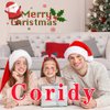 Coridy Christmas Temporary Tattoos Cartoon Face Tattoos Cute Blusher Face Makeup Kit for Women Kids