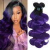 SEXAYHAIR Purple Bundles Body Wave Human Hair Weave 3 Bundles Virgin Hair, Brazilian Remy Hair Ombre 1b/Purple 2 Tone Ombre Hair Wavy for Women(121416)