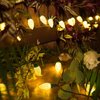 Dazzle Bright C9 Christmas Lights Outdoor, 50 LED 33ft Waterproof Green Wire String Lights, Indoor Outdoor Fairy Lights for Christmas Tree Xmas Yard Party Wedding House Decorations (Warm White)