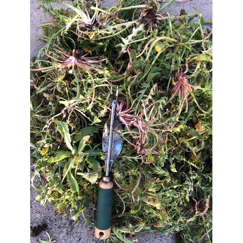 Edward Tools Weeding Tool - Leverage Metal Base Creates Perfect Angle for Easy Weed Removal and Deeper Digging - Sharp V Nose Digs deep to Roots - Stainless Rust Proof Steel