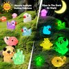 GOKUPOK Luminous Mini Resin Ducks Tiny Animals Glow in The Dark Duck Panda Dolphin Mushroom 4 Combination Sets for Garden Micro Landscape Aquarium Potted Dollhouse Decor 105PCS