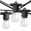 Hometown Evolution, Inc. Commercial E26 String Lights with 16 Gauge Wire (50 Foot 25 Socket, S14 11 Watt Clear Bulb)