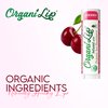 OrganiLip USDA Certified Organic Lip Moisturizer - Ultra Moisturizing Organic Lip Balm for Nourishing Cracked or Dry Lips - All-Day Ultra Moisturizing Lip Care Oval Shaped Tube - 3-Pack (Cherry)