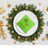 Martini Party Decorations—A Tini Bit Older Birthday Party Decor Napkins for Martini-Themed Party Decorations. Martini Napkins, Martini Party Decorations, Green Gold Foil 52 Pack,5"x 5" Folded. Cheers!