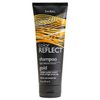 ShiKai Color Reflect Gold Hair Shampoo (8 oz) | Hydrating Hair Brightener with Chamomile |Enhance Gold Color in Blonde, Lt Brown & Red Hair