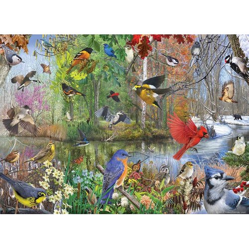 Cobble Hill 1000 Piece Puzzle - Birds of The Season - Sample Poster Included