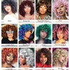 ELIM Curly Wigs for Black Women Short Kinky Curly Brown Wigs for Women Big Curly Afro Soft Wig with Bangs Heat Resistant Natural Cute Synthetic Wig with Accessories Z301BR