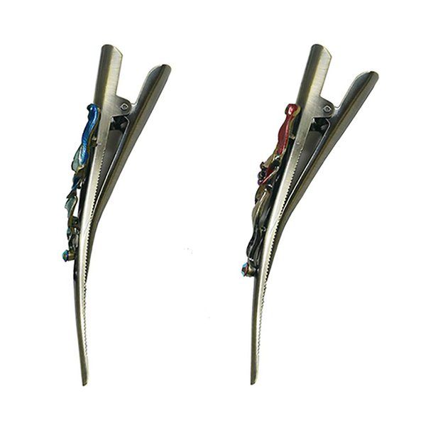 Set of 2 JCGY Flower Metal Alligator Beakclips Duckbill Long Narrow Hair Clips blueRose For All Hair Type