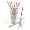 Bunny Party Cups - 12 Set Plastic Lids Straws Somebunny is One First Birthday