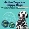 American Pet Supplies Tennis Balls, TPR Coated Tennis Ball Set, Chewing Toys for Puppies and Dogs