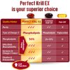 LABO Nutrition Perfect Krill EX, The Purest Ultra Strength Antarctic Krill Oil, Highest Phospholipids (>56%), with Choline & Astaxanthin, Omega 3, Joint Support, 100% Made in USA, 60 softgel