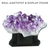 NATIONAL GEOGRAPHIC Purple Crystal Growing Lab - DIY Crystal Creation - Includes Real Amethyst Crystal Specimen