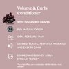 Itinera Volume & Curls Conditioner with Tuscan Red Grapes (12.51 fl oz) - for Defined and Bouncy Curls - Vegan Friendly - 96% Natural Origin Ingredients