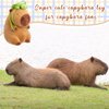 Simgoing 13 Inch Capybara Stuffed Animals Capybara Plush Toy Capybara Plushie Soft and Comfortable Brown Capybara Doll Pillow for Girls and Boys, Home Decoration, Birthday Gift (Orange)(Turtle Bag)