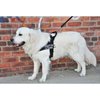 Dean & Tyler DT Universal No Pull Dog Harness - Adjustable, Strong Neoprene Nylon - for Small Breeds - Removable Patches - Size XSmall - Girth Size 21"- 25" - Includes Therapy Dog in Training Patches