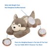 Doireum Weighted Husky Stuffed Animal Plush Toy - Cute 11.8 inch Huskies Throw Pillow Gifts for Boys and Girls