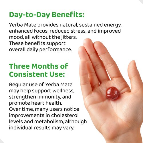 HOLYMARY Yerba Mate Gummies, Quince Flavor - Real, Unroasted Yerba Mate. No Added Caffeine. Boost Energy and Focus Naturally. Vegan, Non-GMO, Gluten-Free - 1 Pack (6 Gummies)
