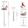 Stargarden Rain Gauge Outdoor, Metal Cardinal Rain Gauge, Rain Gauges with 7inch Plastic Tube, Decorative Rain Gauge for Yard, Garden, Lawn, Pathway